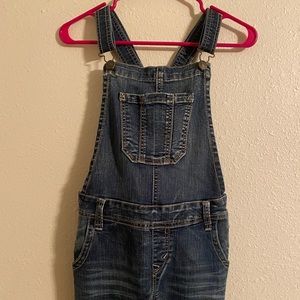 Wallflower denim overalls